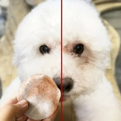 130 Pcs Pet Eye Cleaning Wipes | Tear Stain Remover for Dogs & Cats | Gentle Grooming Wipes | Non-Foaming Soft Pet Towels