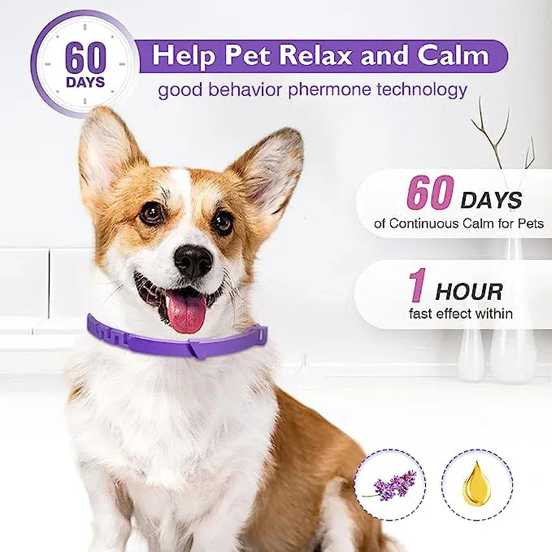 3-Pack Calming Collars for Dogs & Cats - 30 Day Pheromone Anxiety Relief