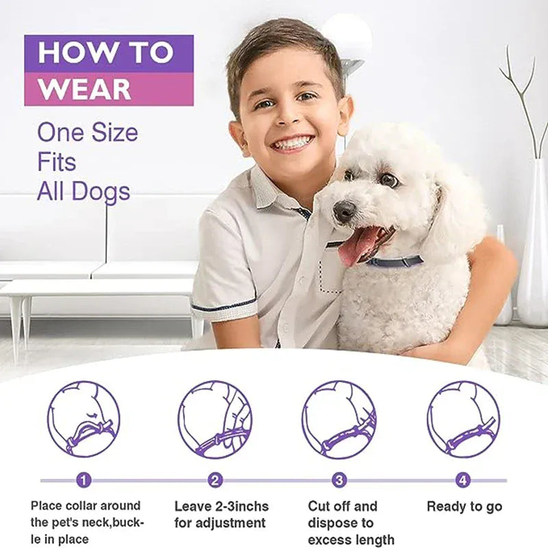 3-Pack Calming Collars for Dogs & Cats - 30 Day Pheromone Anxiety Relief
