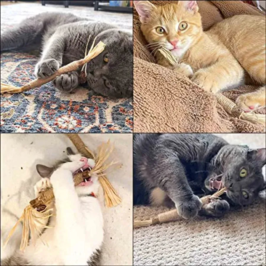 4 Pack Natural Silvervine Sticks for Cats – Chew Toys for Teeth Cleaning & Teething Kittens