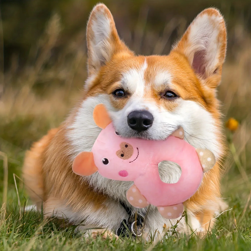 6-Piece Puppy Chew Toy Set - Interactive Dental Teething Toys for Small Dogs