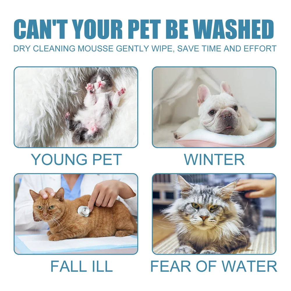 60ml Pet Dry Cleaning Shampoo Mousse | Waterless Grooming Foam for Dogs & Cats | Gentle, Safe, No-Rinse Deodorant | Outdoor & Travel Bath Supplies