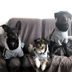 Adidog Brand Hoodie - Athletic Style Winter Coat for Medium & Large Dogs