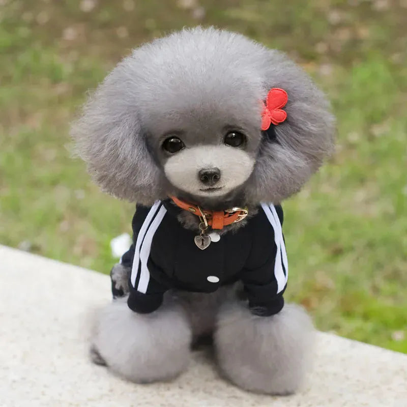 Adidog Winter Dog Jumpsuit | Thick Puppy Tracksuit for Small Dogs | Warm Pet Overalls & Hooded Outfit for Yorkie, Chihuahua & Pug