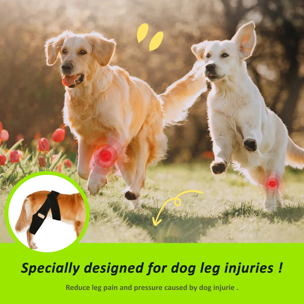 Adjustable Dog Knee Brace - Hip & Leg Support with Metal Bars for Luxating Patella, Post-Surgery Recovery & Joint Pain Relief