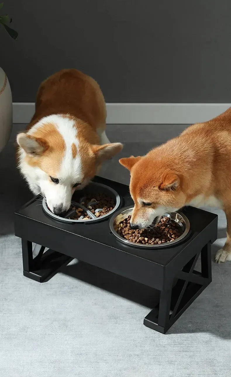 Adjustable Elevated Dog Bowl Stand - 3-Height Raised Feeder with Slow Feed Inserts