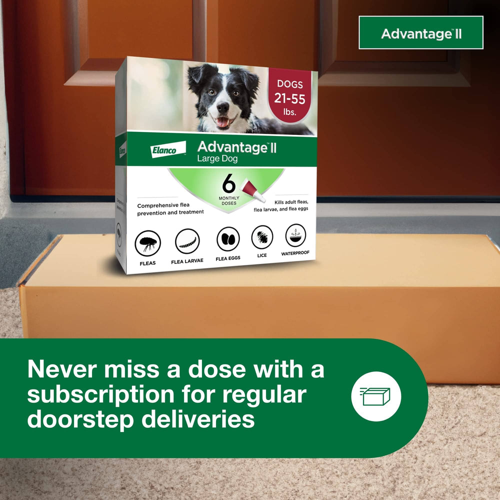 Advantage II Large Dog – Vet-Recommended Flea Treatment & Prevention for Dogs 21-55 lbs, 6-Month Supply