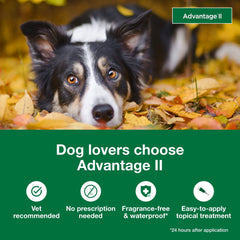 Advantage II Large Dog – Vet-Recommended Flea Treatment & Prevention for Dogs 21-55 lbs, 6-Month Supply