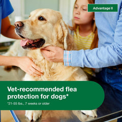 Advantage II Large Dog – Vet-Recommended Flea Treatment & Prevention for Dogs 21-55 lbs, 6-Month Supply