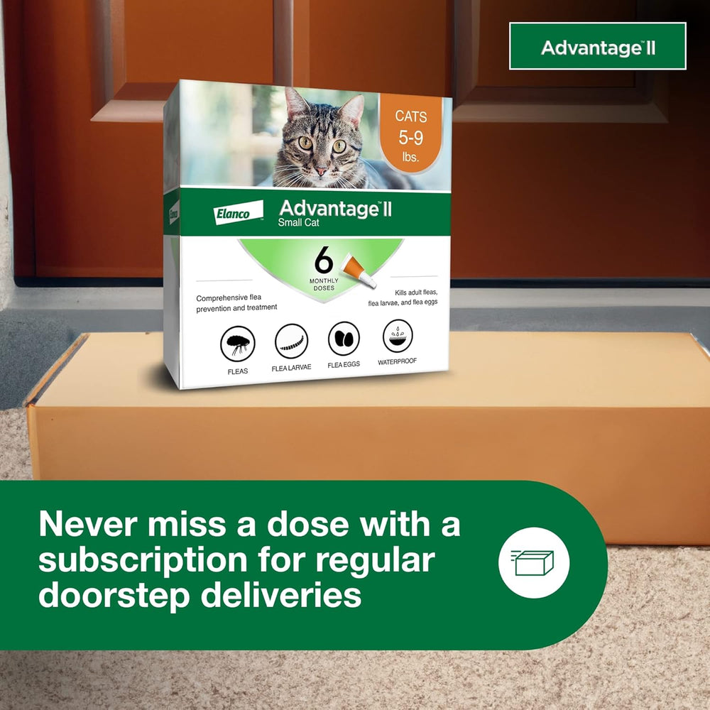 Advantage II Small Cat – Vet-Recommended Flea Treatment & Prevention for Cats 5-9 lbs, 6-Month Supply