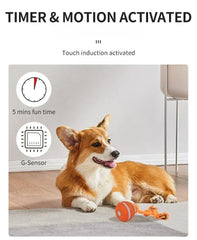 Automatic Rolling Ball for Dogs – Motion Activated USB Rechargeable Interactive Toy