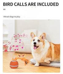 Automatic Rolling Ball for Dogs – Motion Activated USB Rechargeable Interactive Toy