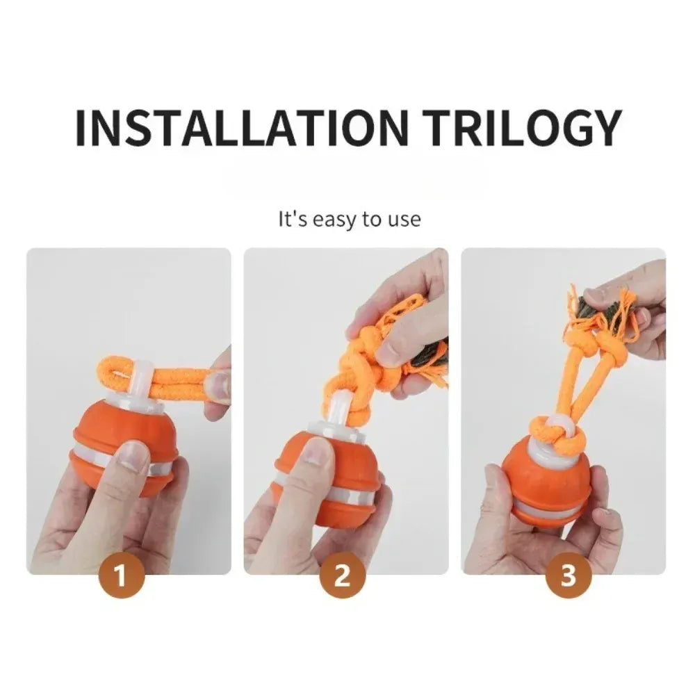 Automatic Rolling Ball for Dogs – Motion Activated USB Rechargeable Interactive Toy