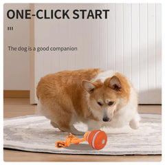 Automatic Rolling Ball for Dogs – Motion Activated USB Rechargeable Interactive Toy