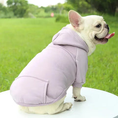 Autumn & Winter Pet Hoodie – Warm Cotton Hooded Sweatshirt for Cats, Kittens & Small Dogs