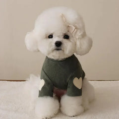 Bear Hoodie Pet Shirt - Cute Base Layer for Cats & Small Dogs