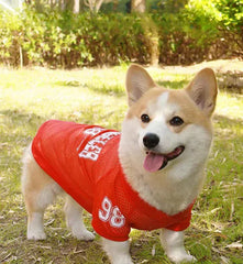 CAIBAN Summer Pet Cooling Vest - Heat Relief for Dogs & Cats