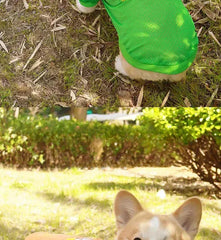 CAIBAN Summer Pet Cooling Vest - Heat Relief for Dogs & Cats