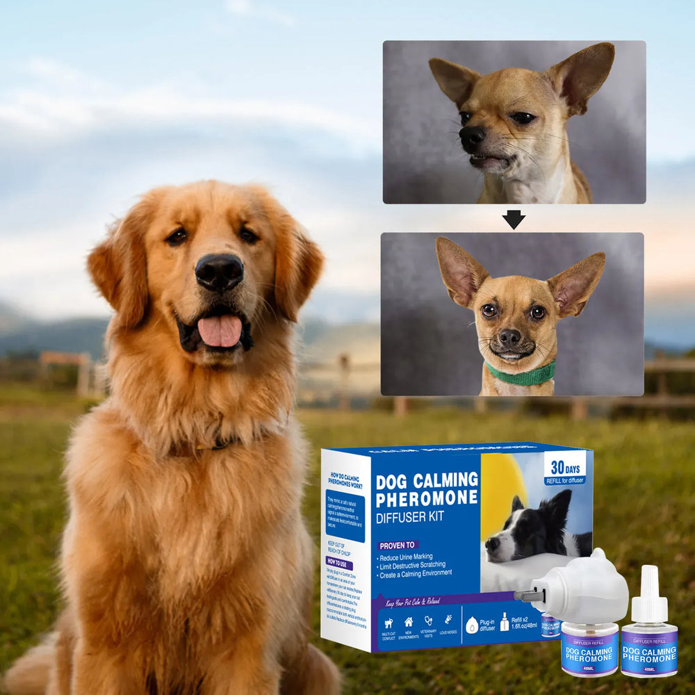 Cat Calming Diffuser Kit - 60 Day Pheromone Stress & Anxiety Relief