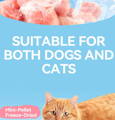 Chanbuni Chicken Cranberry Cat Snacks - Freeze-Dried Meat & Fruit Treats