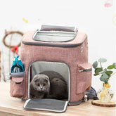 Collapsible Pet Carrier Backpack – Lightweight Foldable Travel Bag with Mesh Windows