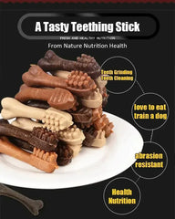 Dog Bruxism Toothbrush Bone Treats | Healthy Dental Chews for Puppies & Adult Dogs | Natural Nutrition & Training Rewards