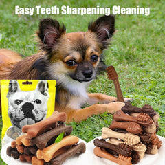 Dog Bruxism Toothbrush Bone Treats | Healthy Dental Chews for Puppies & Adult Dogs | Natural Nutrition & Training Rewards