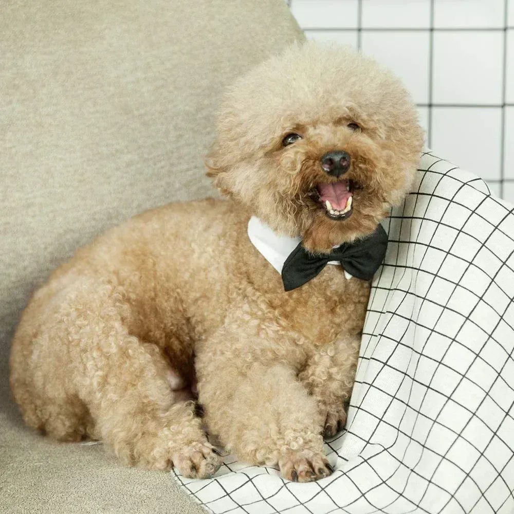 Dog Cat Tuxedo Collar - Wedding Bow Tie Pet Accessory for Special Occasions