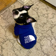 Dog Face Hoodie - All-Season Pet Apparel for Small to Giant Breeds