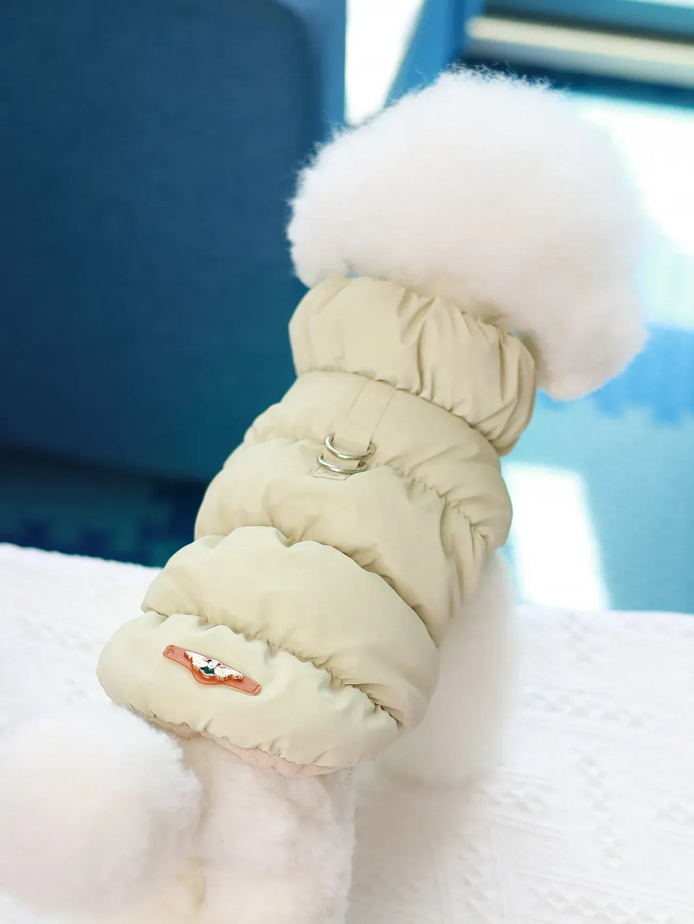 Dog Jacket for Autumn & Winter | 3-Layer Thick Warm Coat for Small & Medium Dogs – Poodle, Teddy, Yorkie Outerwear