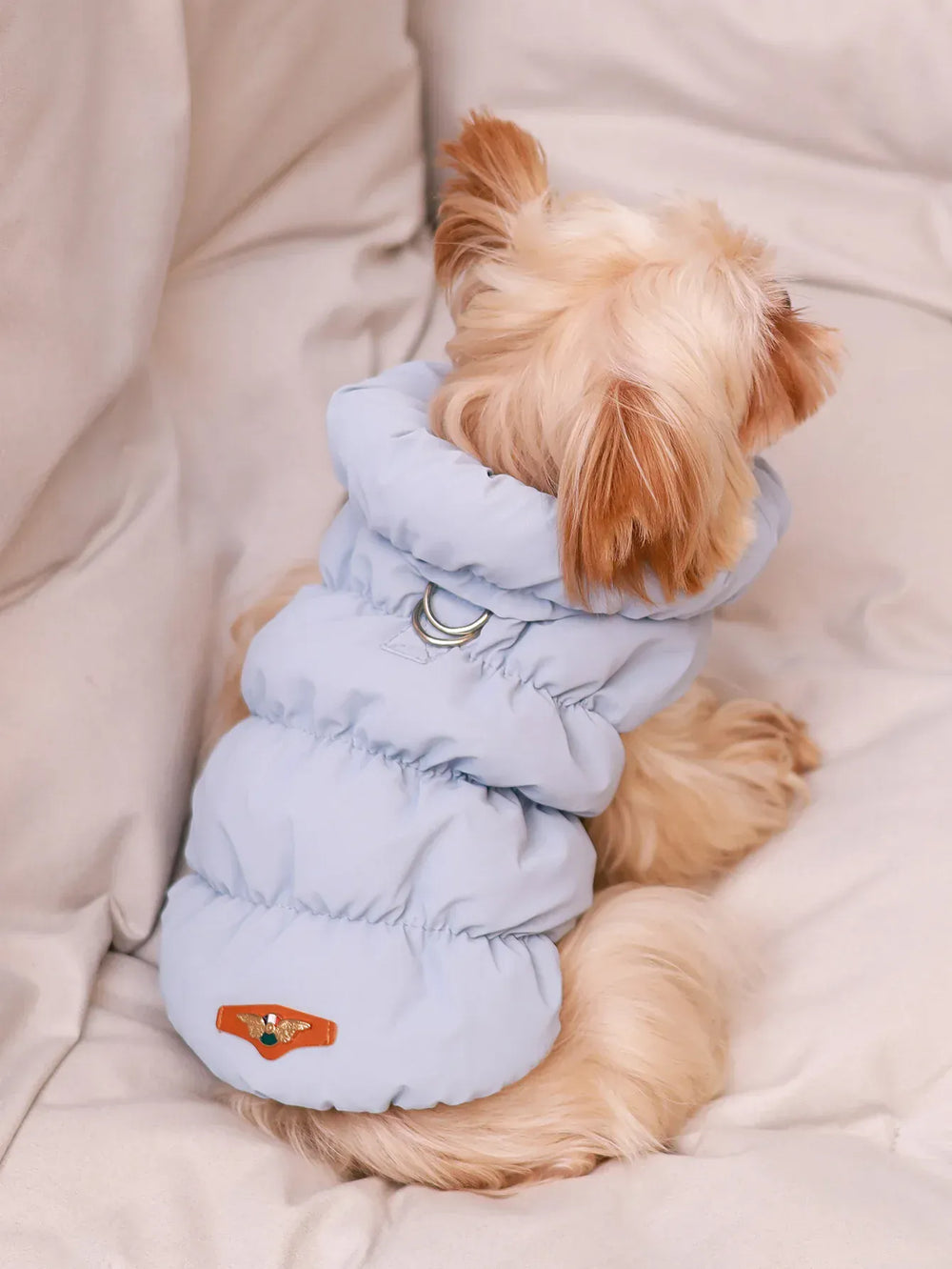 Dog Jacket for Autumn & Winter | 3-Layer Thick Warm Coat for Small & Medium Dogs – Poodle, Teddy, Yorkie Outerwear