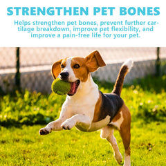 Dog Joint Glucosamine Drops | Hip & Joint Relief Supplement for Dogs | Arthritis & Mobility Support | Bone Strength & Pain Relief Liquid (50ml)