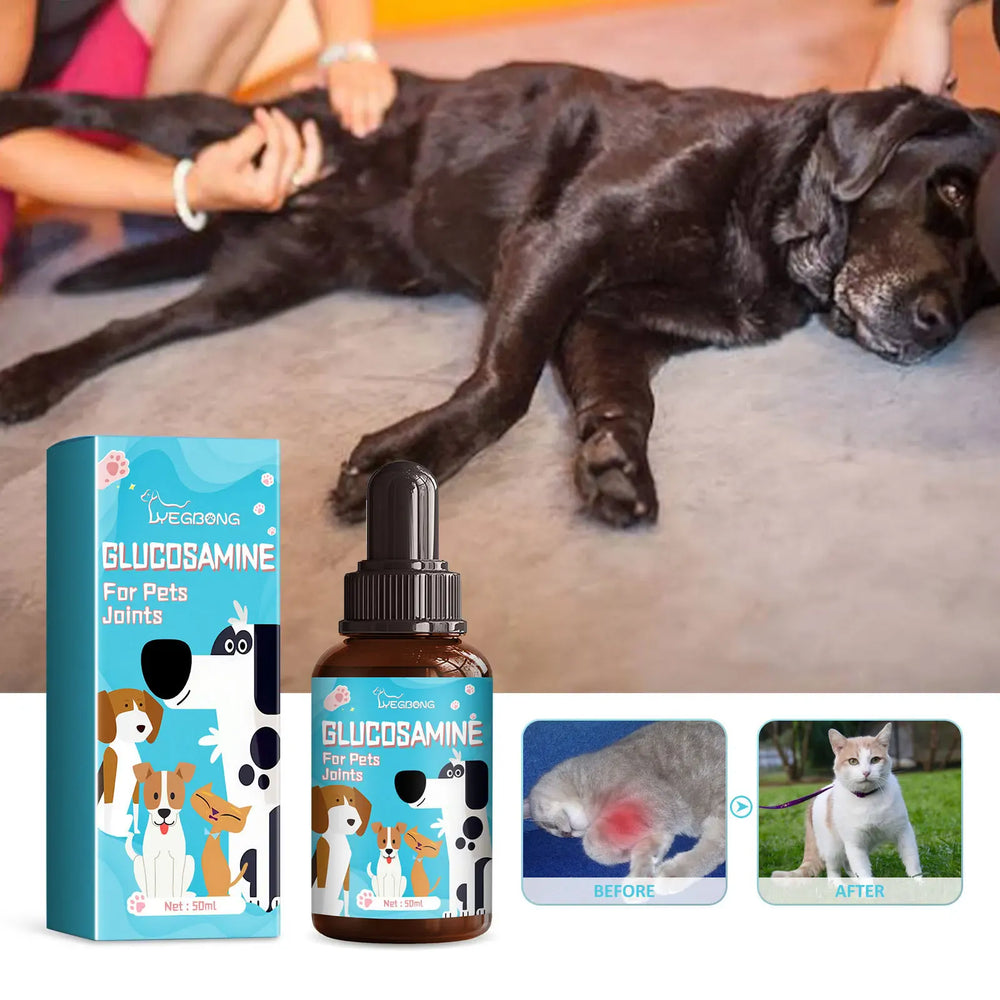 Dog Joint Glucosamine Drops | Hip & Joint Relief Supplement for Dogs | Arthritis & Mobility Support | Bone Strength & Pain Relief Liquid (50ml)