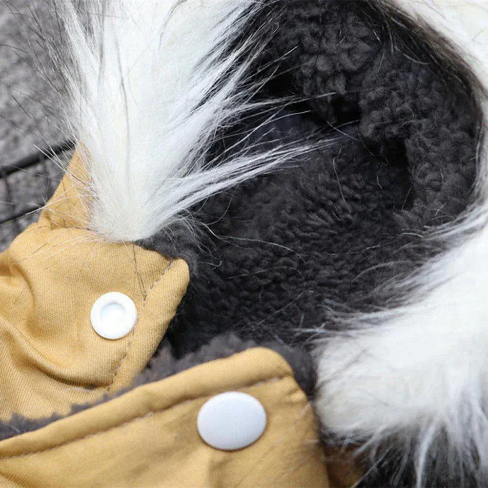 Dog Outdoor HikiDog Outdoor Autumn Winter Warm Hoodie Coat – Fashionable Pet Jacket for Small & Medium DogsAutumn Winter Warm Clothes With Hoodie Fashionable Design Coats Comfortable Polyester Cotton Jacket for Petng