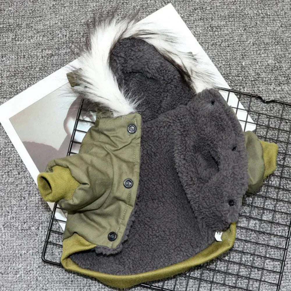 Dog Outdoor HikiDog Outdoor Autumn Winter Warm Hoodie Coat – Fashionable Pet Jacket for Small & Medium DogsAutumn Winter Warm Clothes With Hoodie Fashionable Design Coats Comfortable Polyester Cotton Jacket for Petng