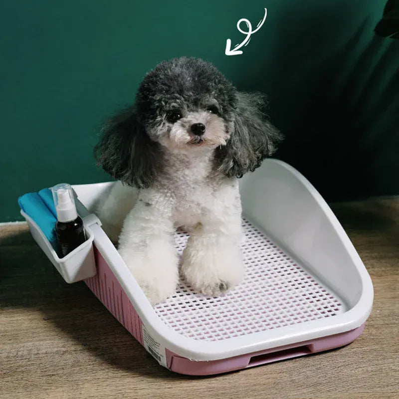 Double Layer Dog Toilet with Pee Post - Indoor Potty Training Tray for Dogs