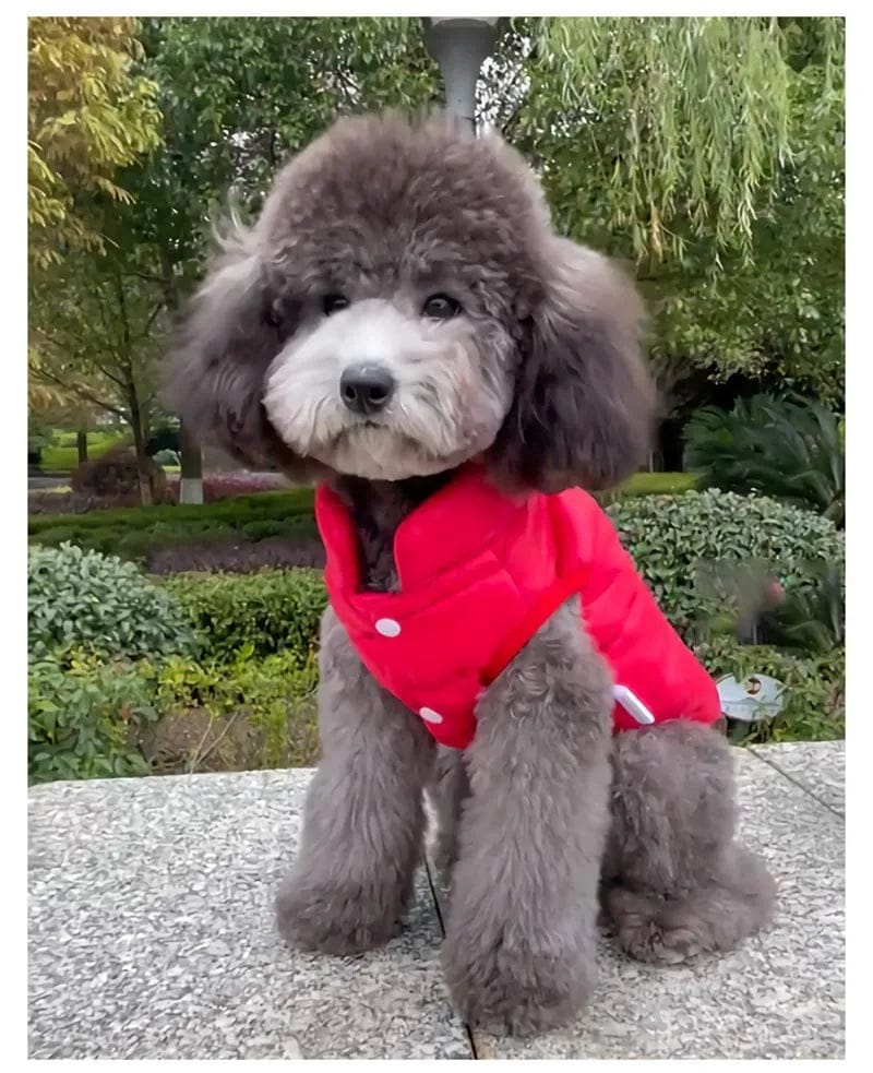 Double-Sided Dog Coat | Winter Warm Pet Vest for Small & Medium Dogs – Soft Puppy Clothes & Chihuahua Outfit