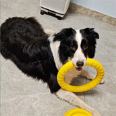 EVA Dog Ring Toy - Floating Chew Resistant Flyer & Puller