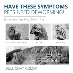 Flea & Tick Drops for Dogs & Cats - Monthly Prevention Treatment & Control