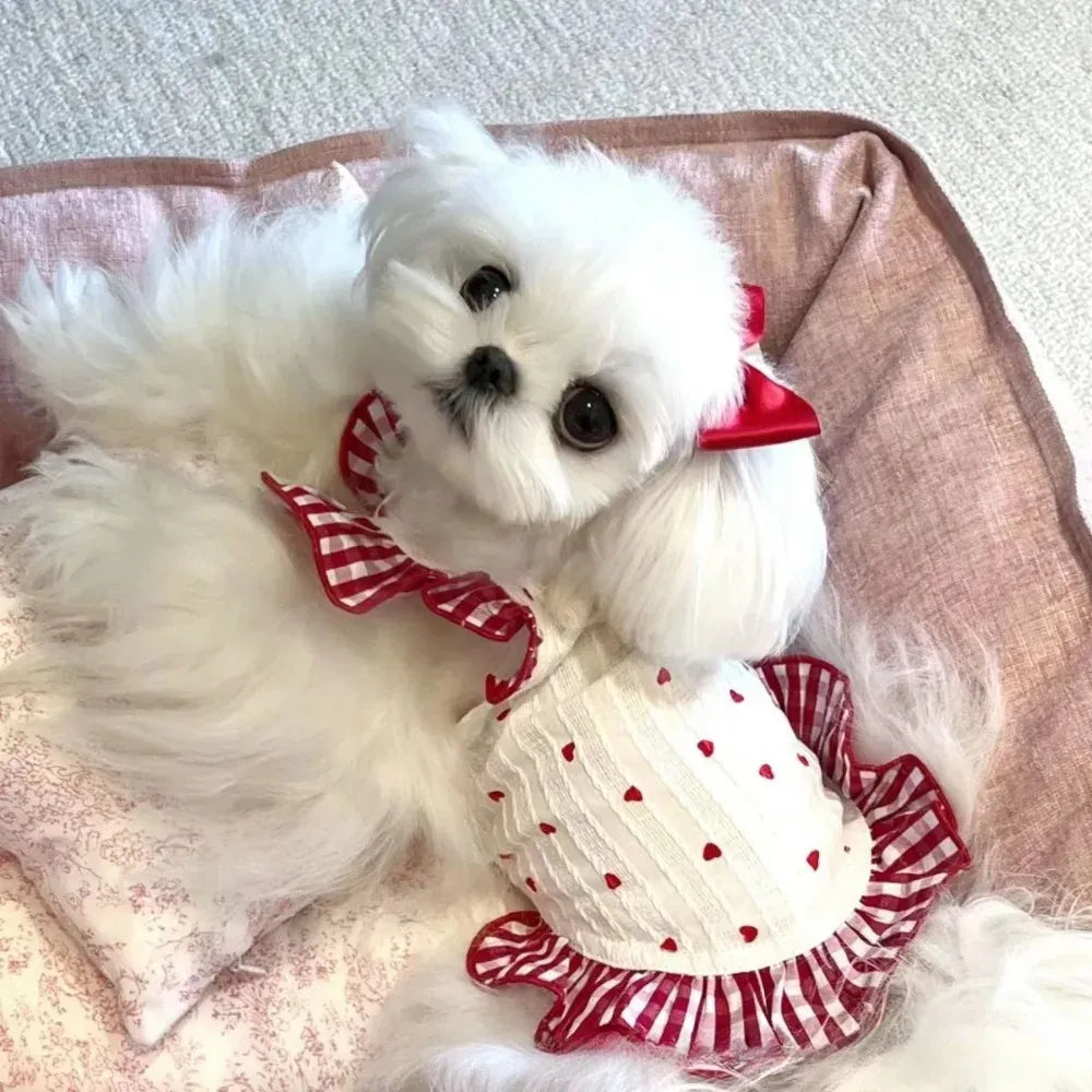 Floral Summer Dress for Small Dogs & Cats – Cute Party Outfit for Spring Summer Holidays