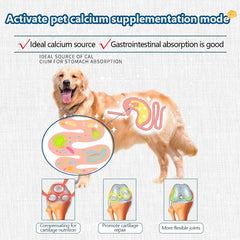 Freeze-Dried Cheese Pet Snacks | High-Calcium Nutrient-Rich Treats for Cats & Dogs | Digestive Aid & Dairy Supplement