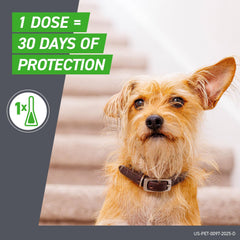FRONTLINE Plus for Small Dogs (5-22 lbs) – Flea & Tick Treatment, 6-Month Supply