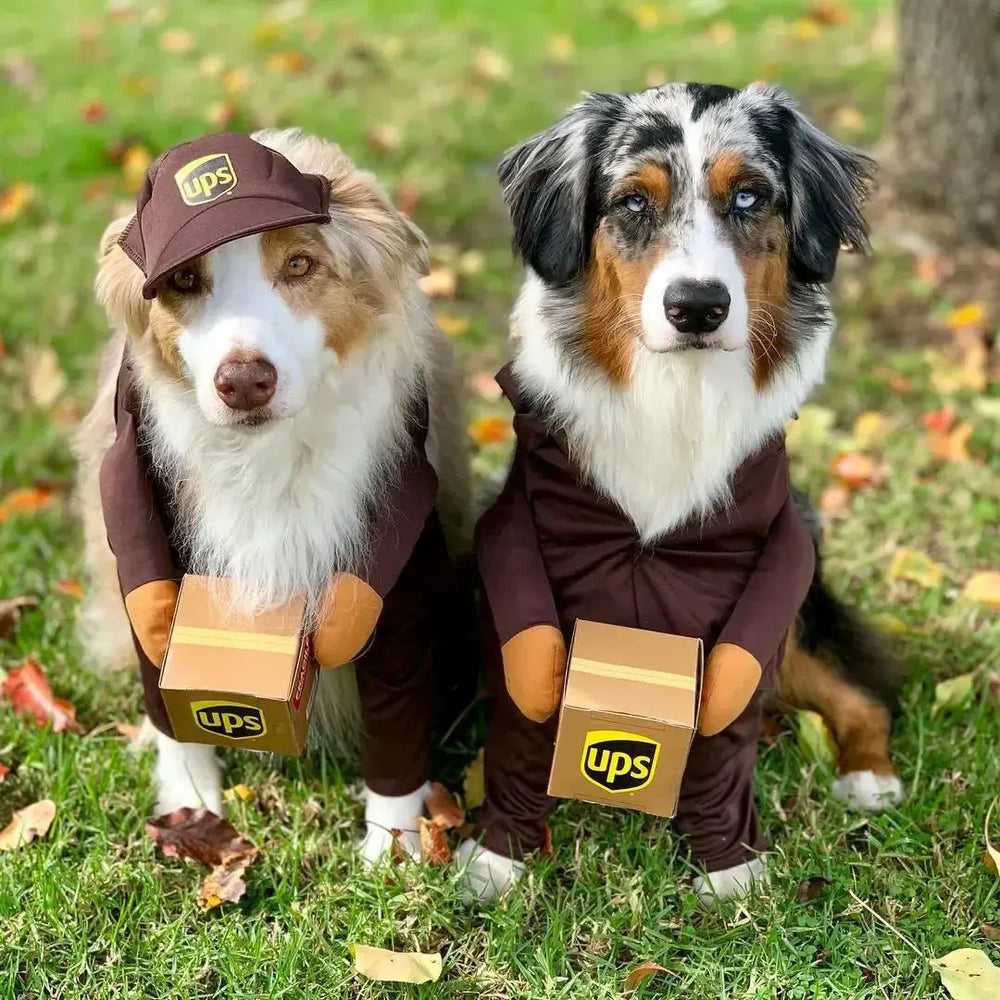 Funny Pet Courier Costume – Role Play Cosplay Outfit for Dogs & Cats