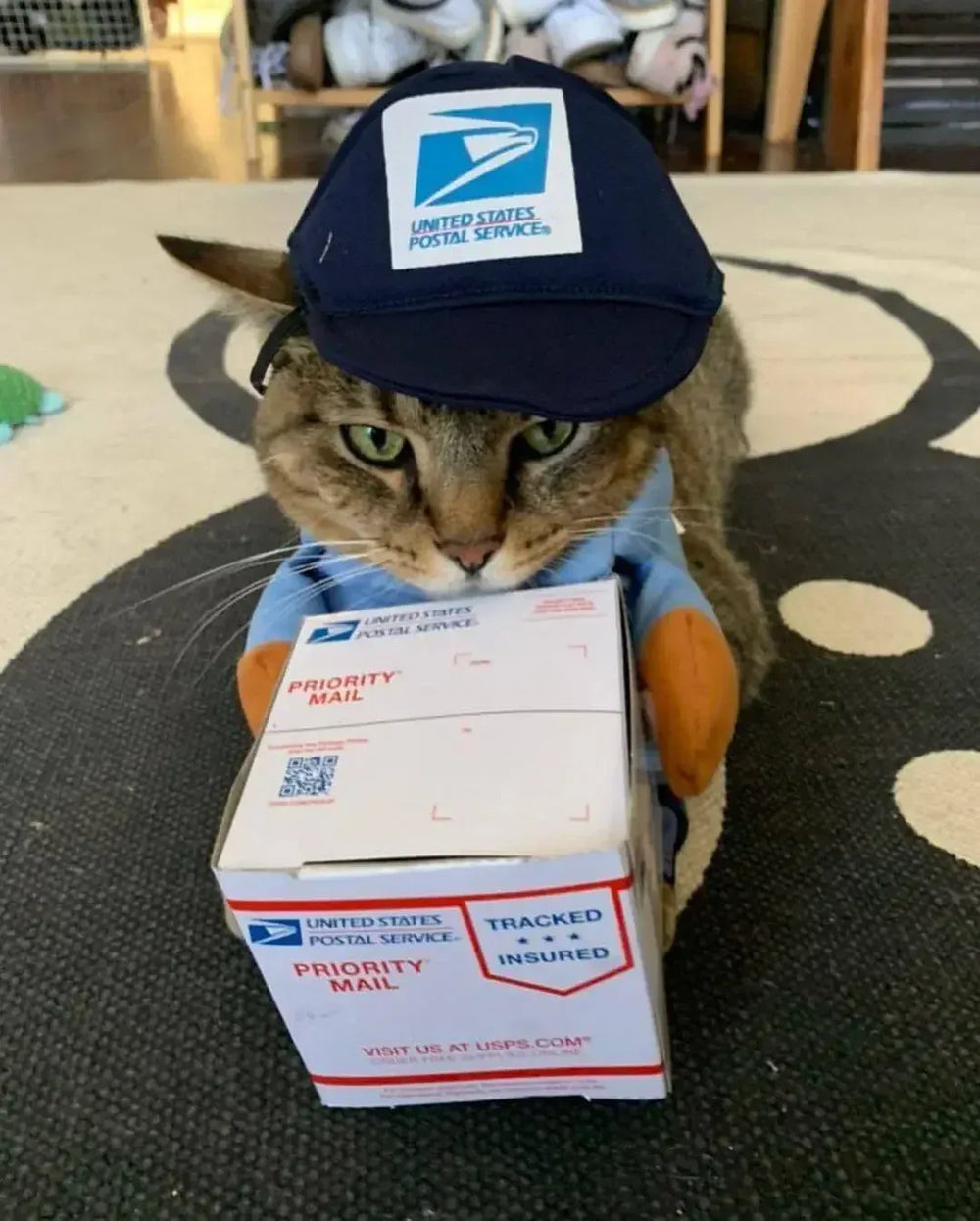 Funny Pet Courier Costume – Role Play Cosplay Outfit for Dogs & Cats