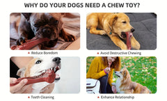 Indestructible Chew Toy for Aggressive Chewers – Durable Natural Rubber Bone for Teeth Cleaning