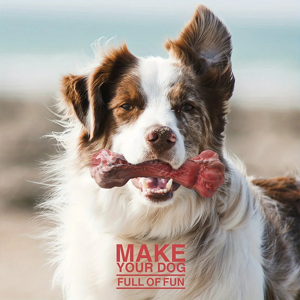 Indestructible Chew Toy for Aggressive Chewers – Durable Natural Rubber Bone for Teeth Cleaning
