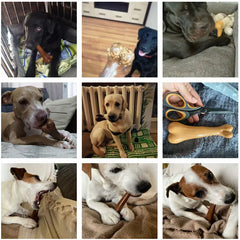 Indestructible Dog Chew Bone - Molar Cleaning Toy for Aggressive Chewers