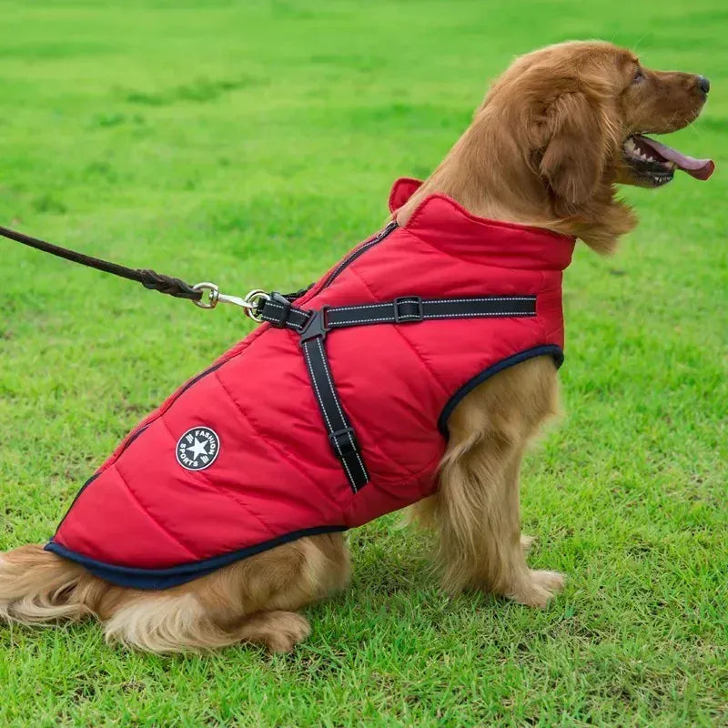Integrated Dog Jacket & Harness - Waterproof Winter Coat for All Seasons