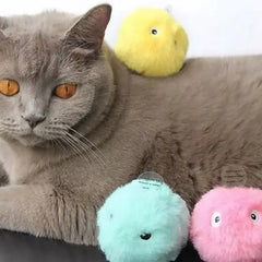 Interactive Cat Ball Toy - Automatic Squeaky Sound Motion Activated Catnip Toy