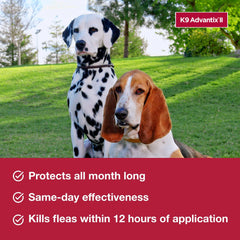 K9 Advantix II Large Dog – Vet-Recommended Flea, Tick & Mosquito Treatment for Dogs 21-55 lbs, 4-Month Supply